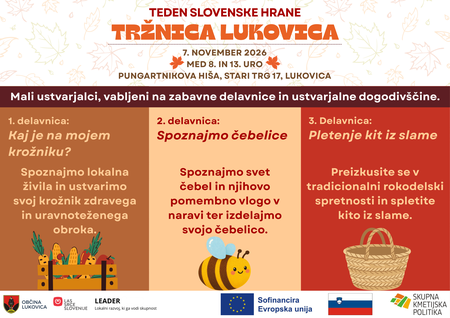 TSH delavnice - flyer